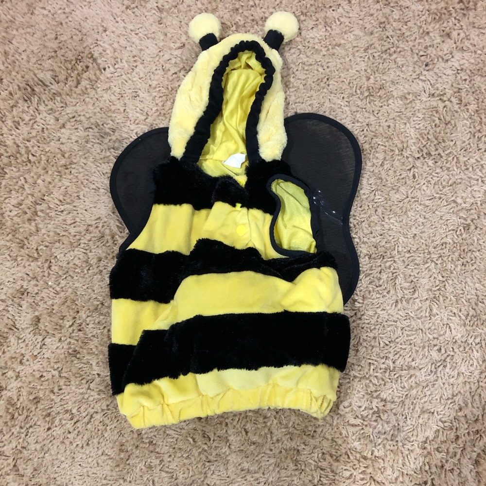 Bee 🐝 costume